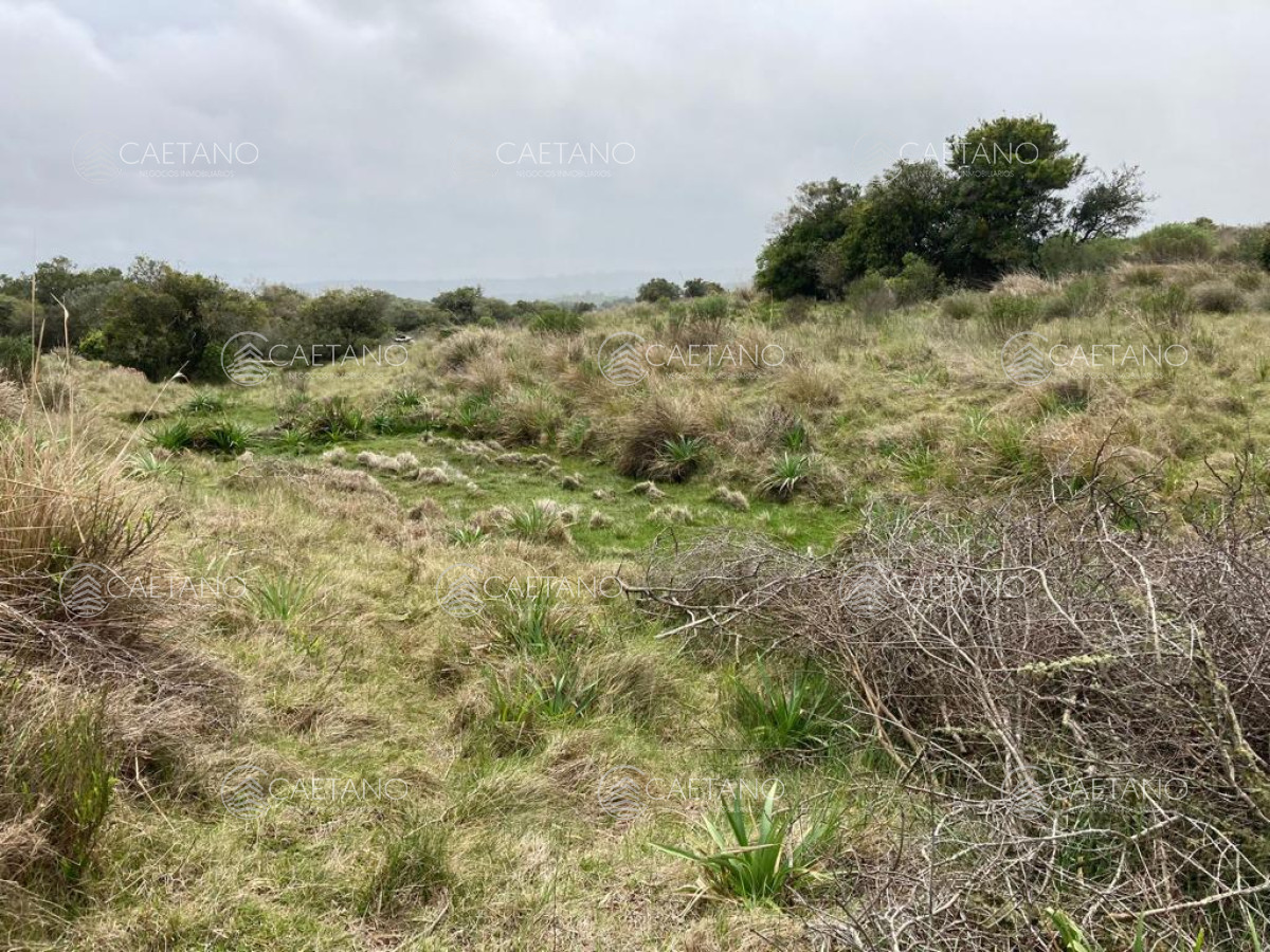 Aiguá - GoPunta - Portal Inmobiliario de Punta del Este - Maldonado