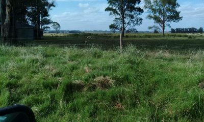 Terreno en Polo Club Country de ruta 10 kilómetro 172