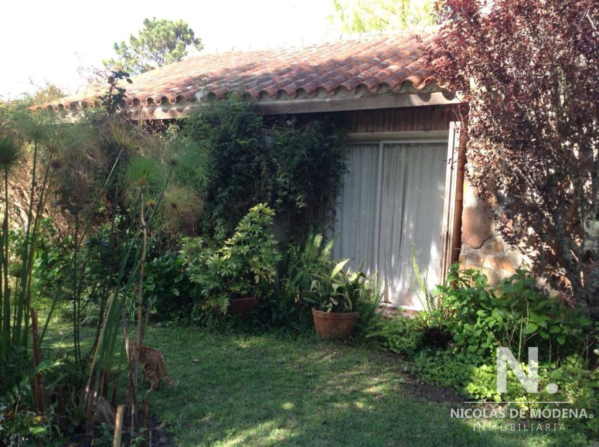 Pinares - GoPunta - Portal Inmobiliario de Punta del Este - Maldonado