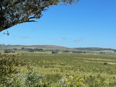 chacra en maldonado en oportunidad  - ndm20142h