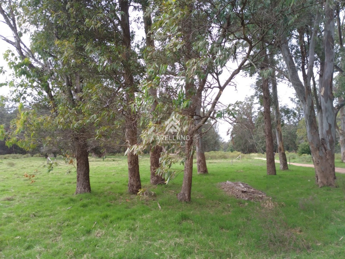 Terreno ID.3972 - Terreno en Eden Rock 70m2