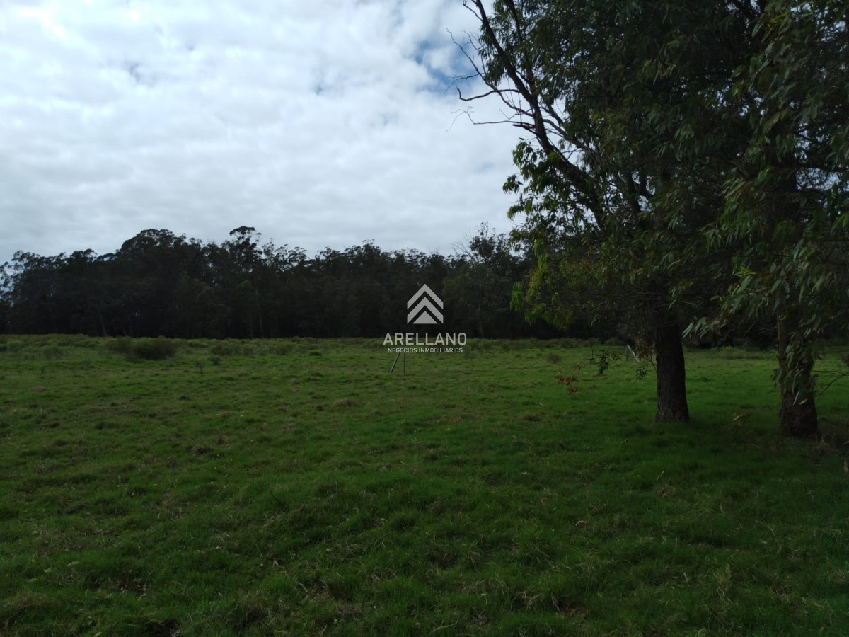 Terreno ID.3972 - Terreno en Eden Rock 70m2