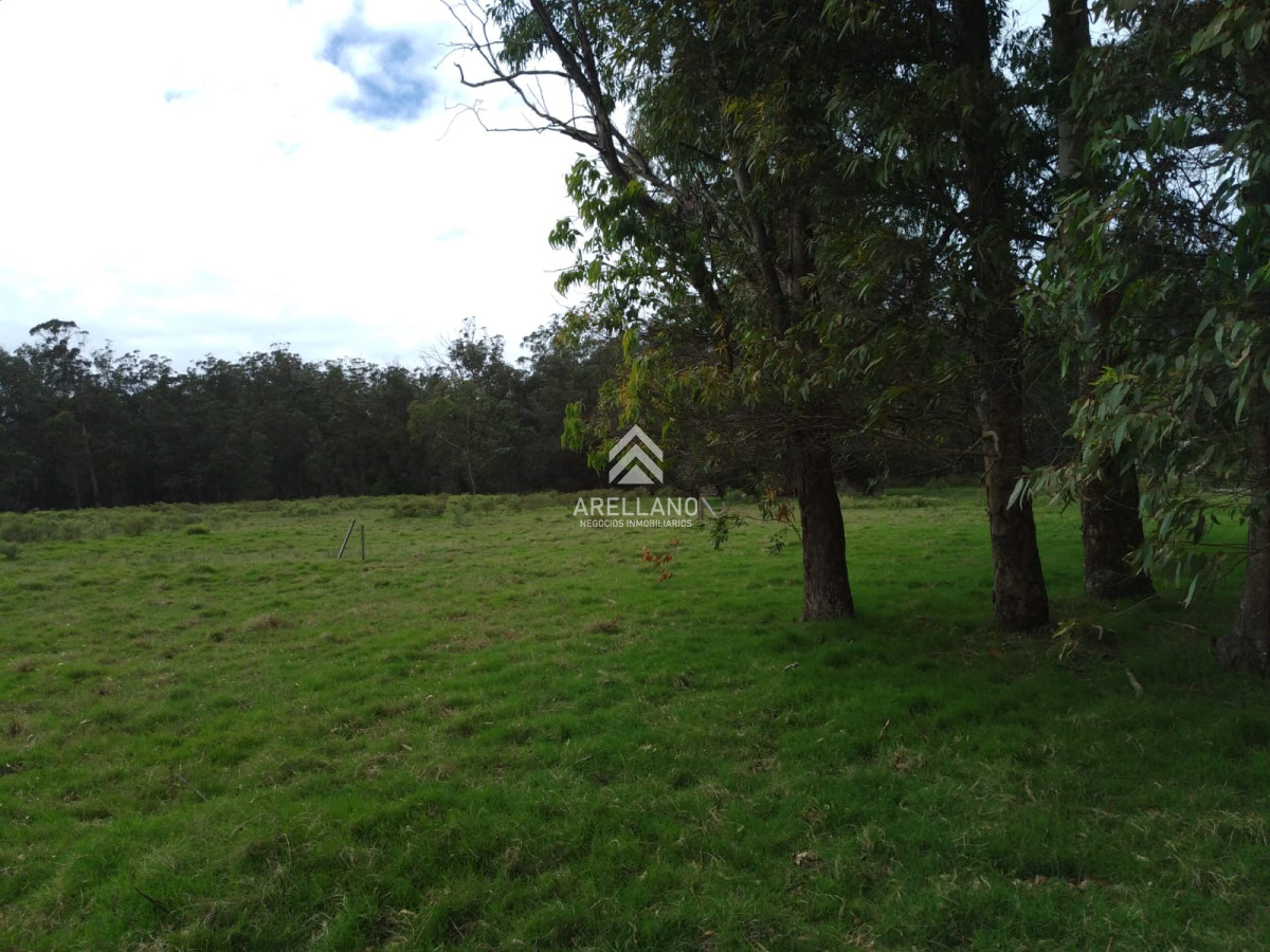 Terreno ID.3972 - Terreno en Eden Rock 70m2