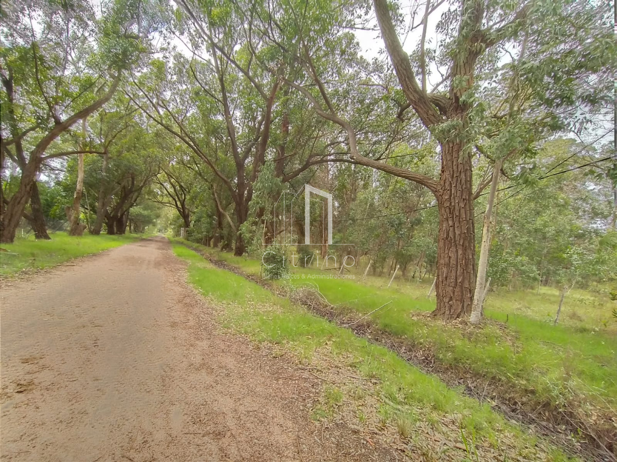 Terreno ID.1560 - oportunidad en polo club country de ruta 10 kilómetro 172