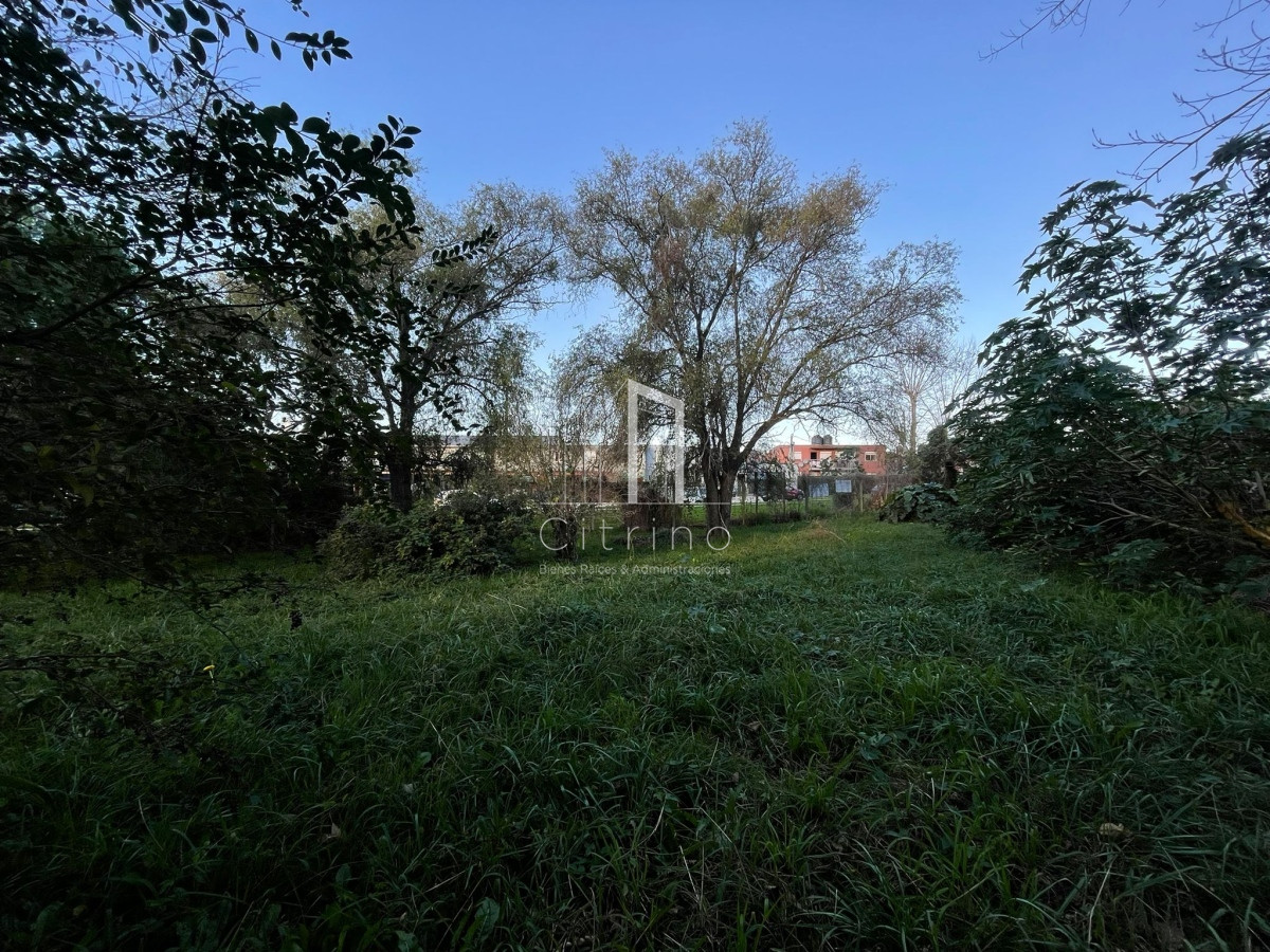 Terreno ID.1056 - Terreno en Maldoando 