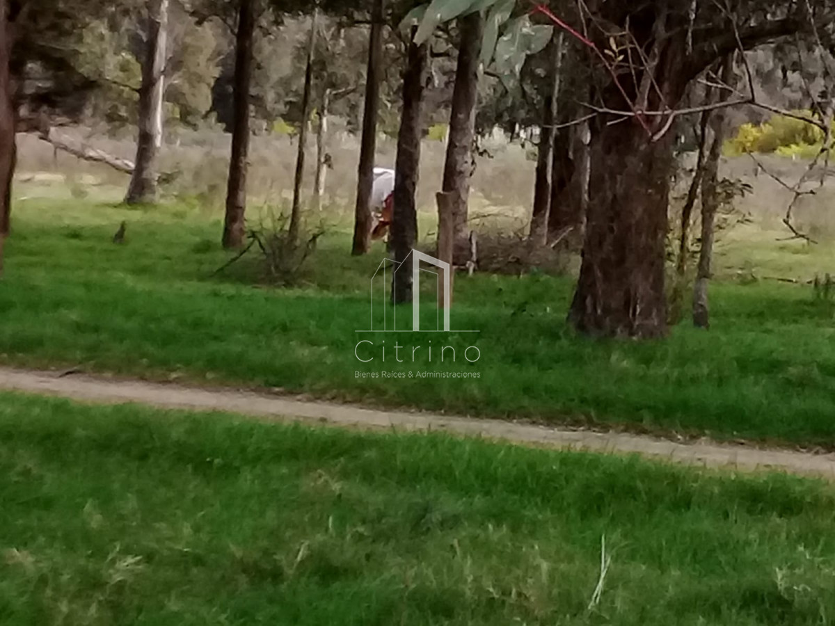 Terreno ID.1560 - oportunidad en polo club country de ruta 10 kilómetro 172