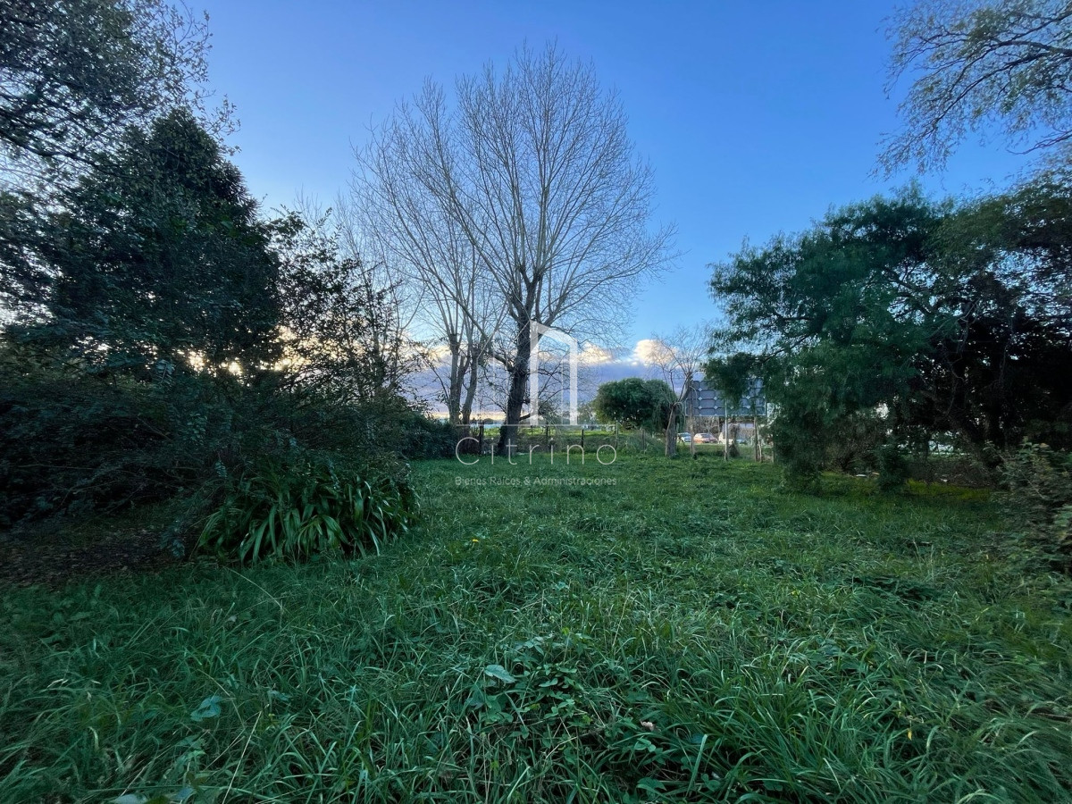 Terreno ID.1056 - Terreno en Maldoando 