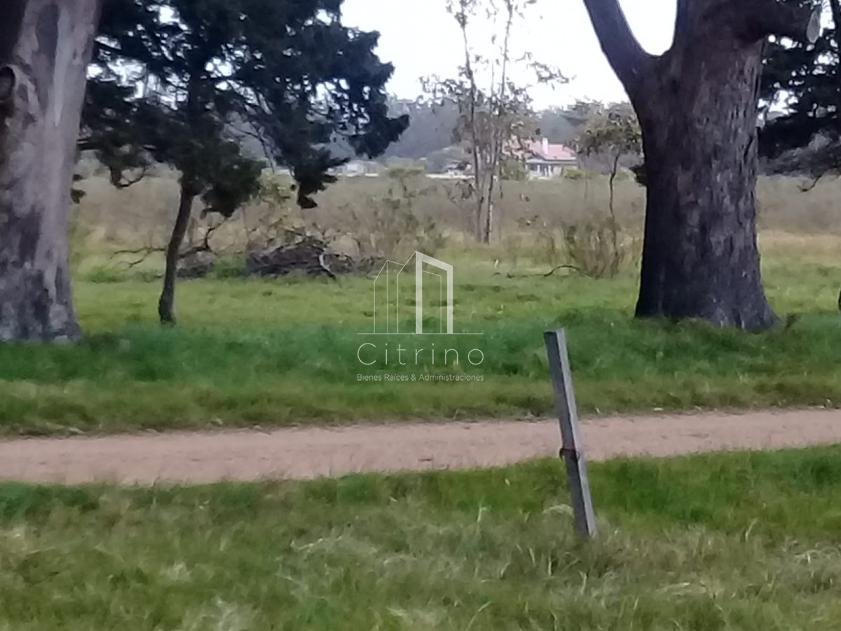 Terreno ID.1560 - oportunidad en polo club country de ruta 10 kilómetro 172