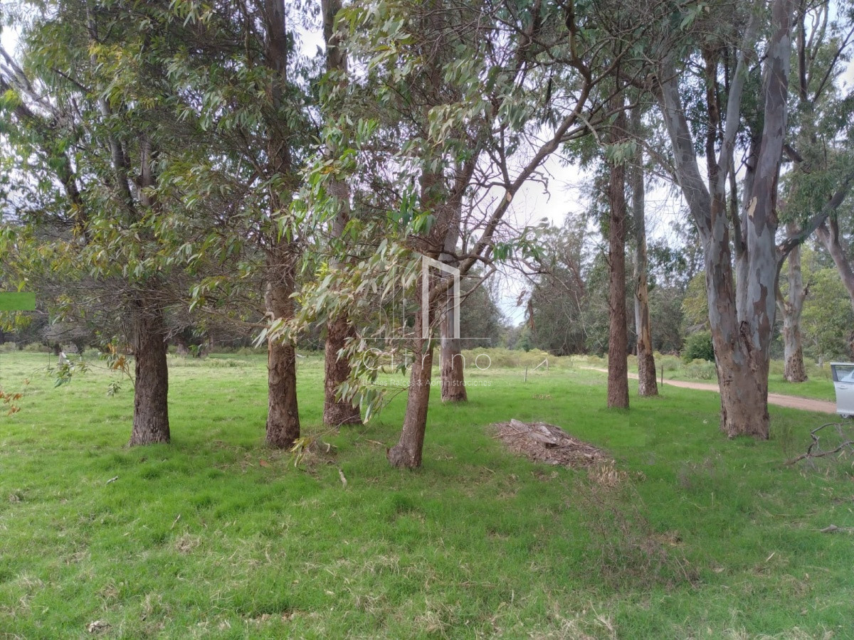 Terreno ID.1560 - oportunidad en polo club country de ruta 10 kilómetro 172