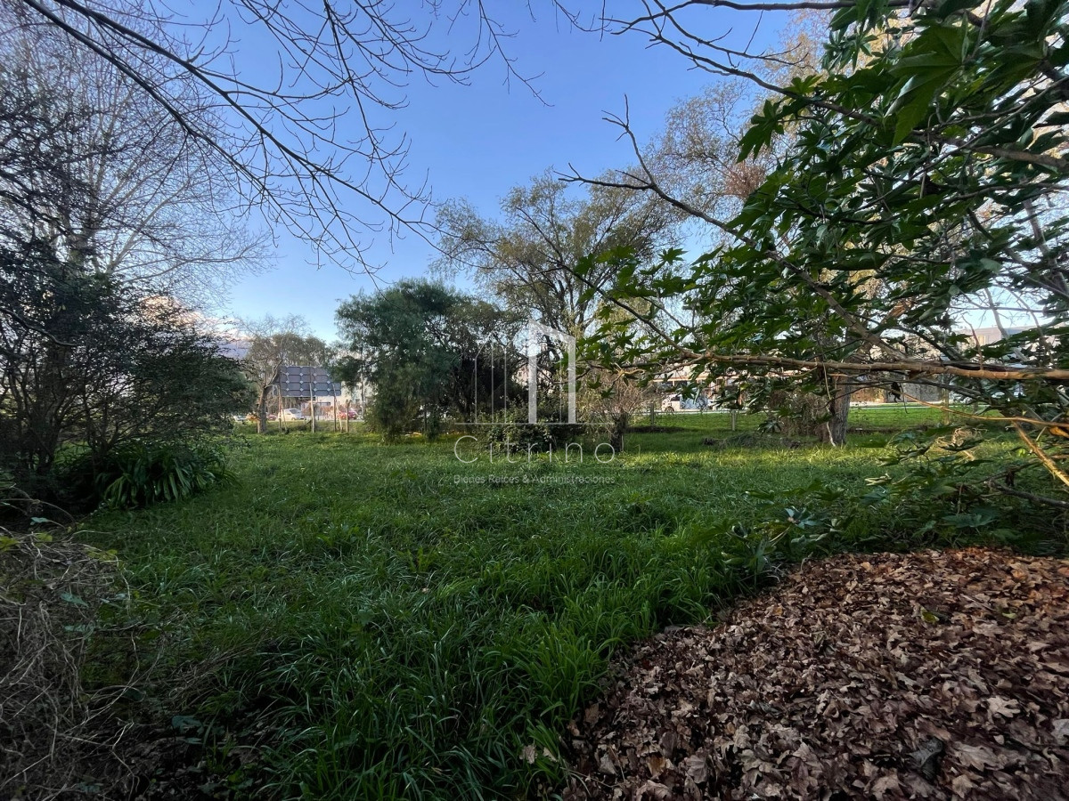 Terreno ID.1056 - Terreno en Maldoando 