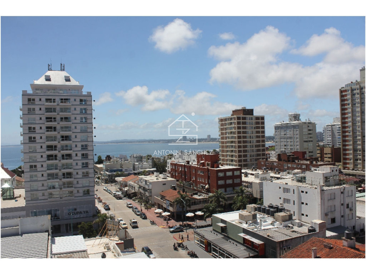 Apartamento ID.764 - apartamento en alquiler anual zona de Península !!!