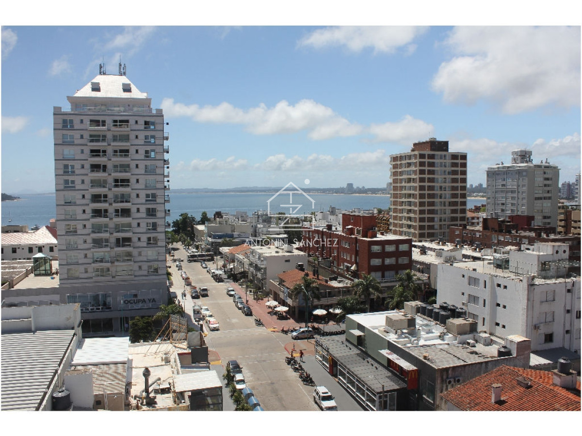 Apartamento ID.764 - apartamento en alquiler anual zona de Península !!!