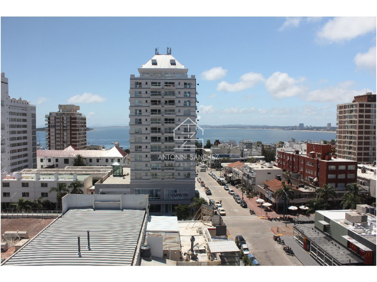 Apartamento ID.764 - apartamento en alquiler anual zona de Península !!!