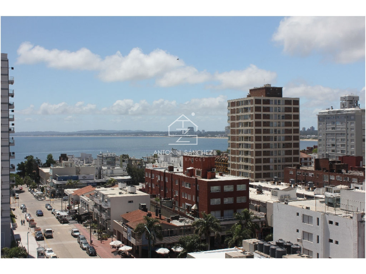 Apartamento ID.764 - apartamento en alquiler anual zona de Península !!!