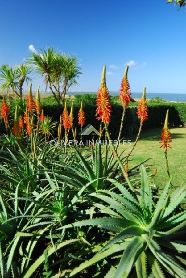 Casa ID.12355 - Casa en venta de 5 dormitorios frente al mar, Punta Ballena, Punta del Este