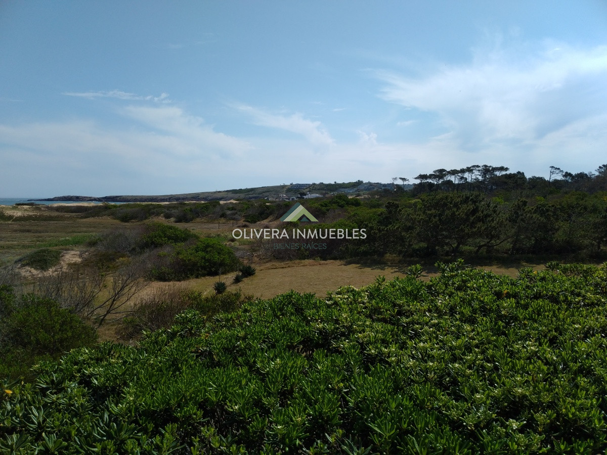 Casa ID.12355 - Casa en venta de 5 dormitorios frente al mar, Punta Ballena, Punta del Este