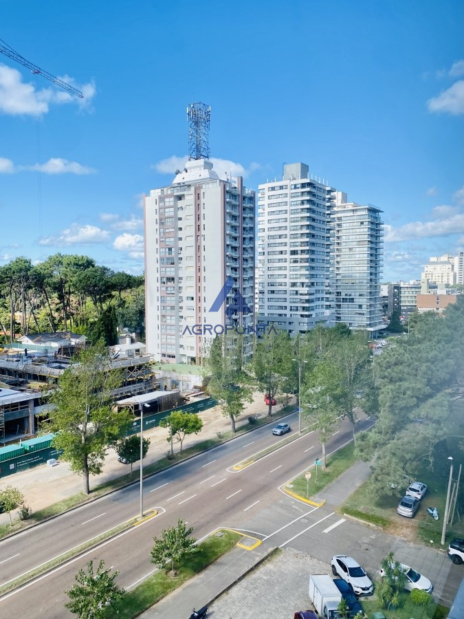 Roosevelt - GoPunta - Portal Inmobiliario de Punta del Este - Maldonado