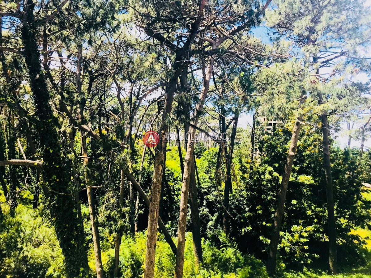 apartamento en zona de Avenida Roosevelt - AND6347A