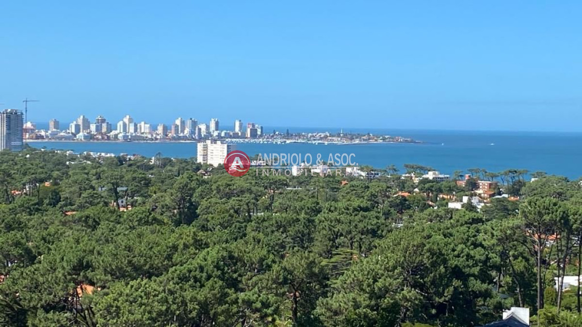 Apartamento ID.7321 - ALQUILER ANUAL APARTAMENOS 1 DORMITORIO.
