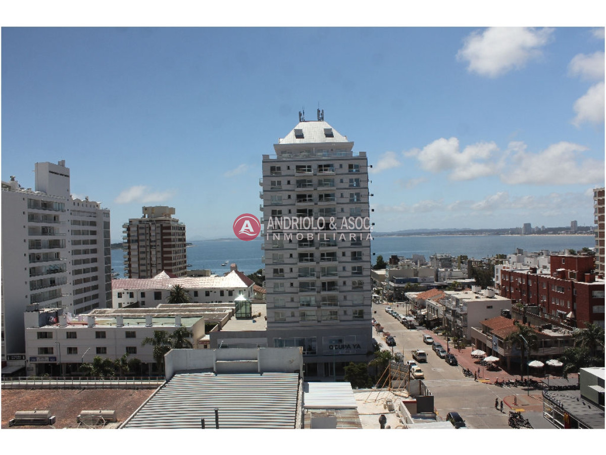Apartamento ID.2944 - apartamento en alquiler anual zona de Península !!!