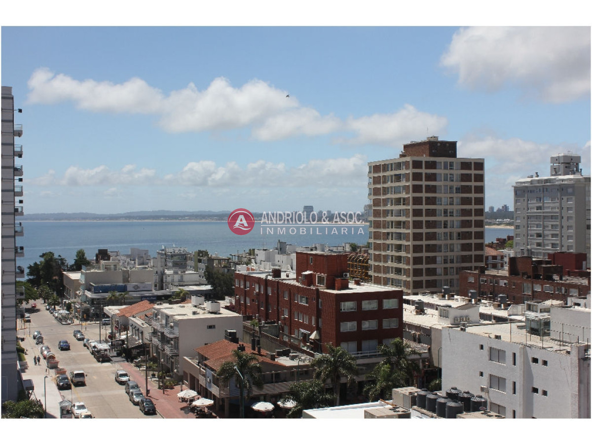 Apartamento ID.2944 - apartamento en alquiler anual zona de Península !!!