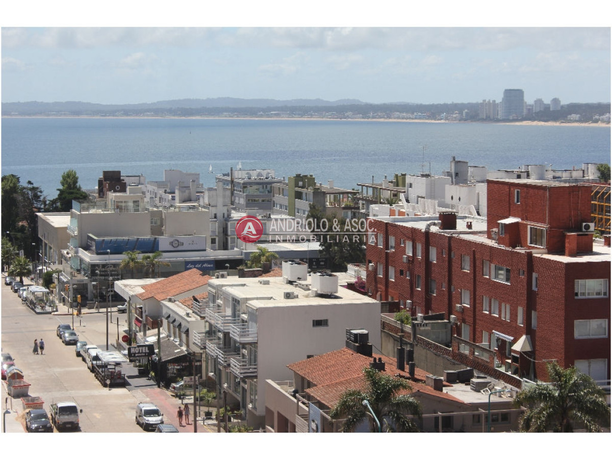 Apartamento ID.2944 - apartamento en alquiler anual zona de Península !!!