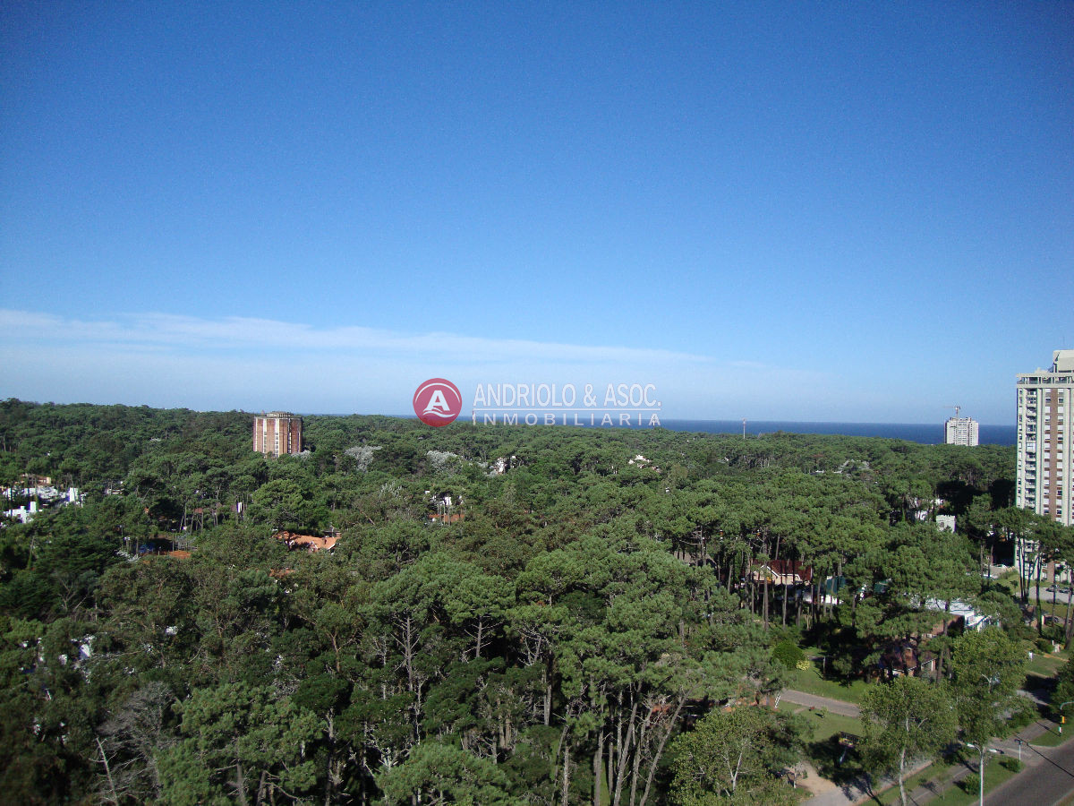 Apartamento ID.81 - oportunidad en zona de Roosevelt 