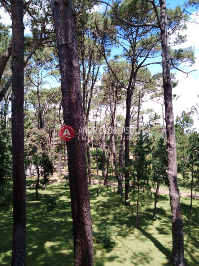 Apartamento ID.6300 - zona de Arcobaleno