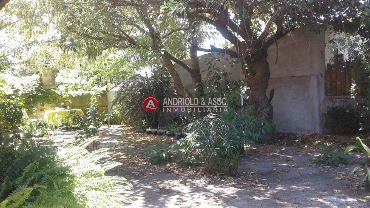 Casa ID.5381 - Casa en Punta del Este, Pinares