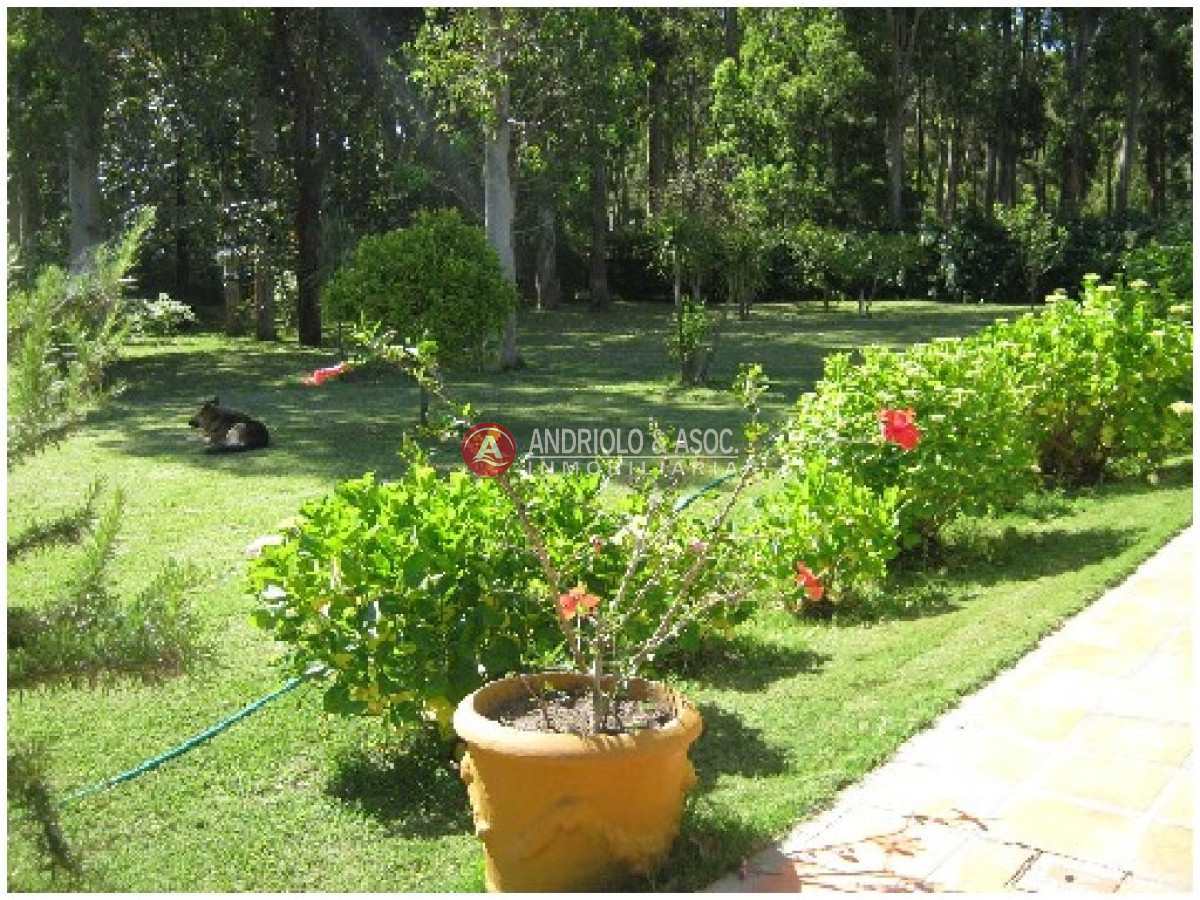 Casa ID.5668 - Casa en La Barra, El Tesoro