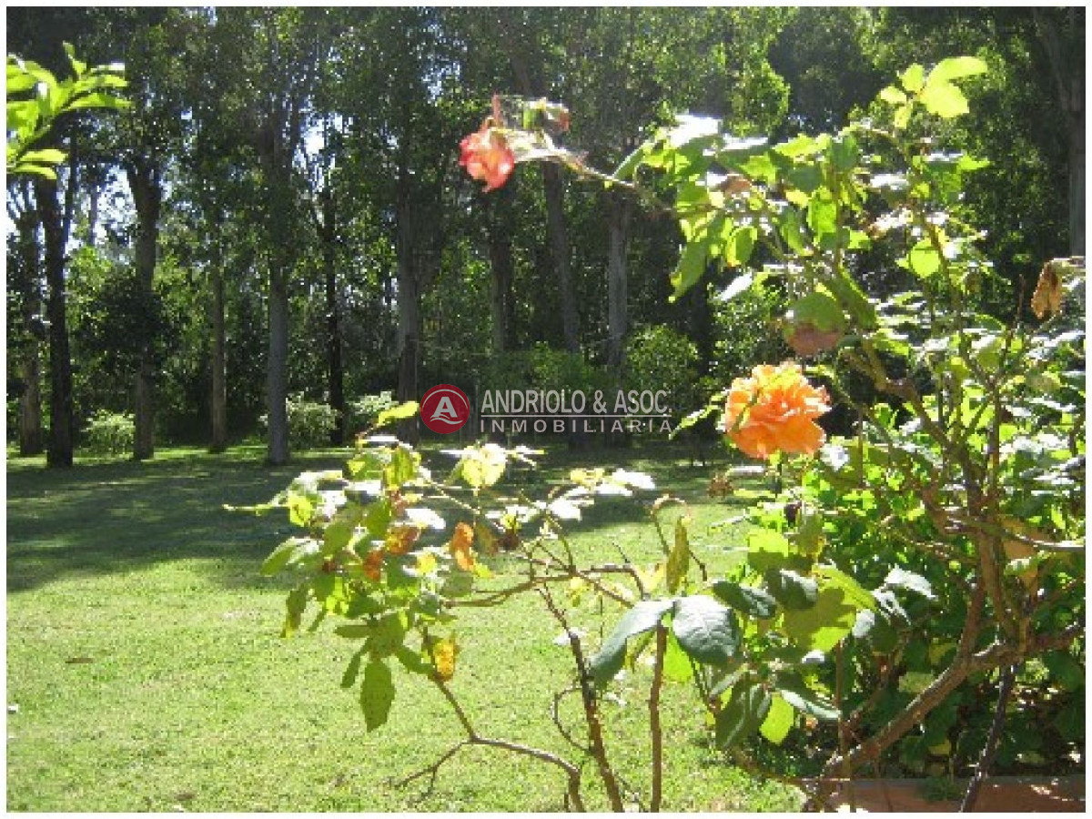 Casa ID.5668 - Casa en La Barra, El Tesoro