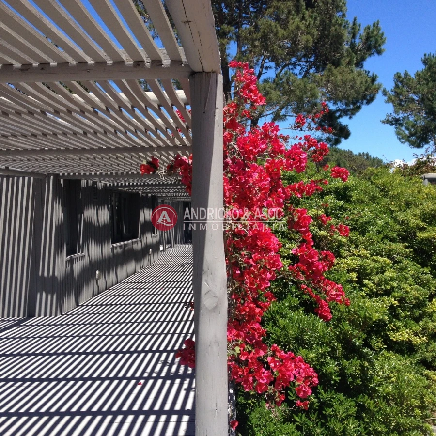Casa ID.6687 - casa en barrio privado zona de Jose Ignacio 