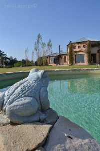 chacra muy moderna en excelente estado - and6070h