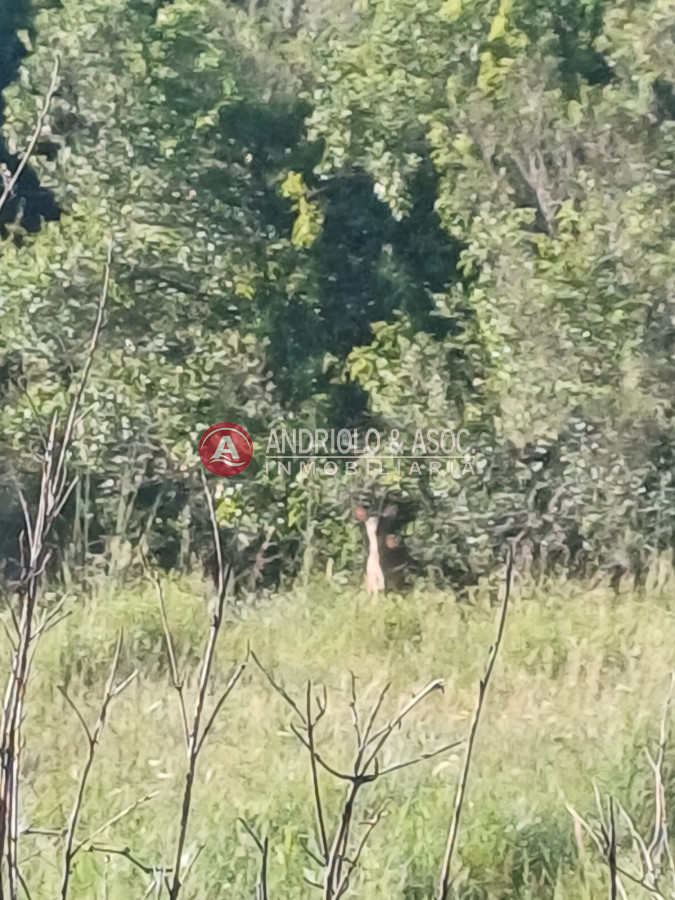 Chacra ID.9026 - Chacra en Las Cañas 