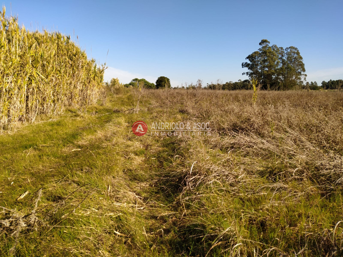 Chacra ID.6626 - chacra en canelones 