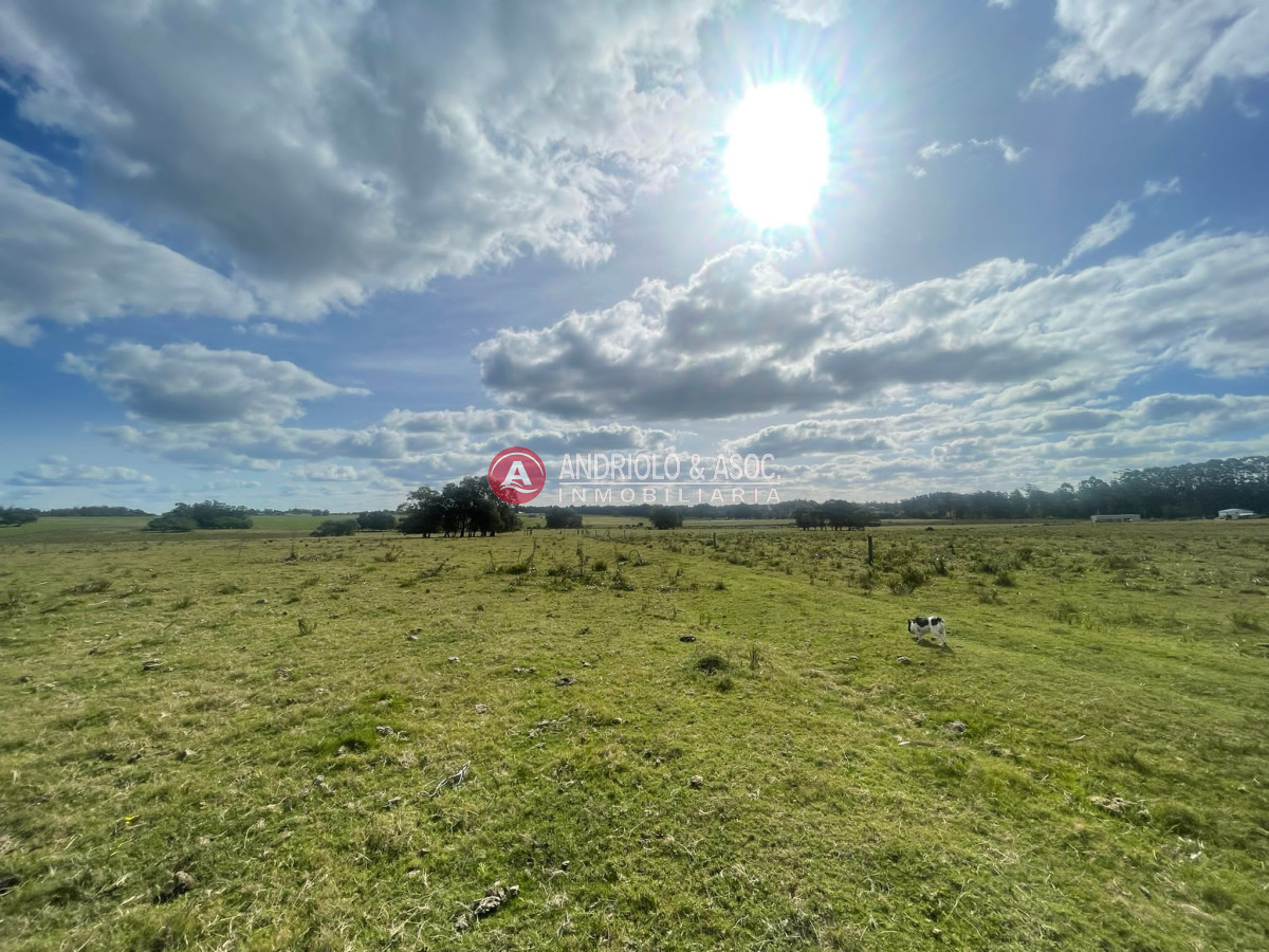 Chacra ID.8535 - 