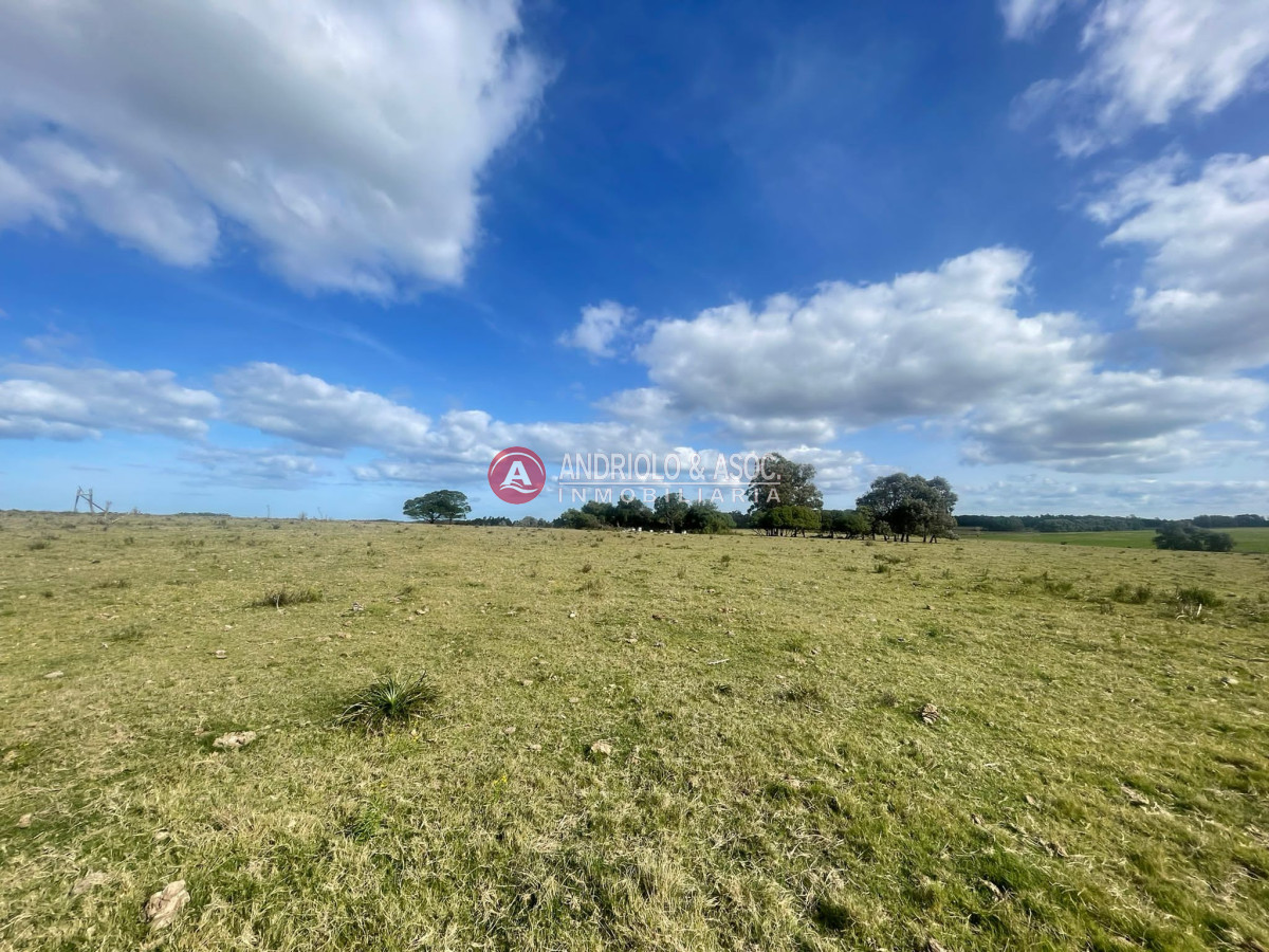 Chacra ID.8535 - 