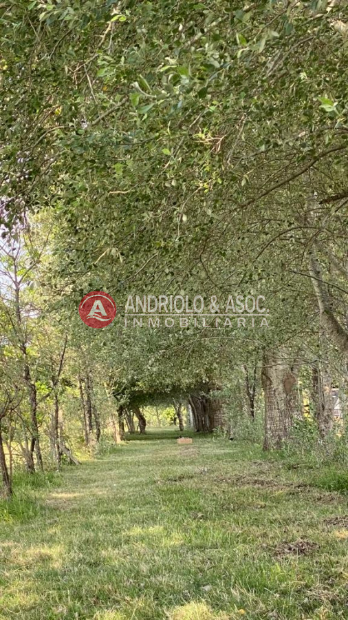 Chacra ID.8920 - Chacra en Maldonado 