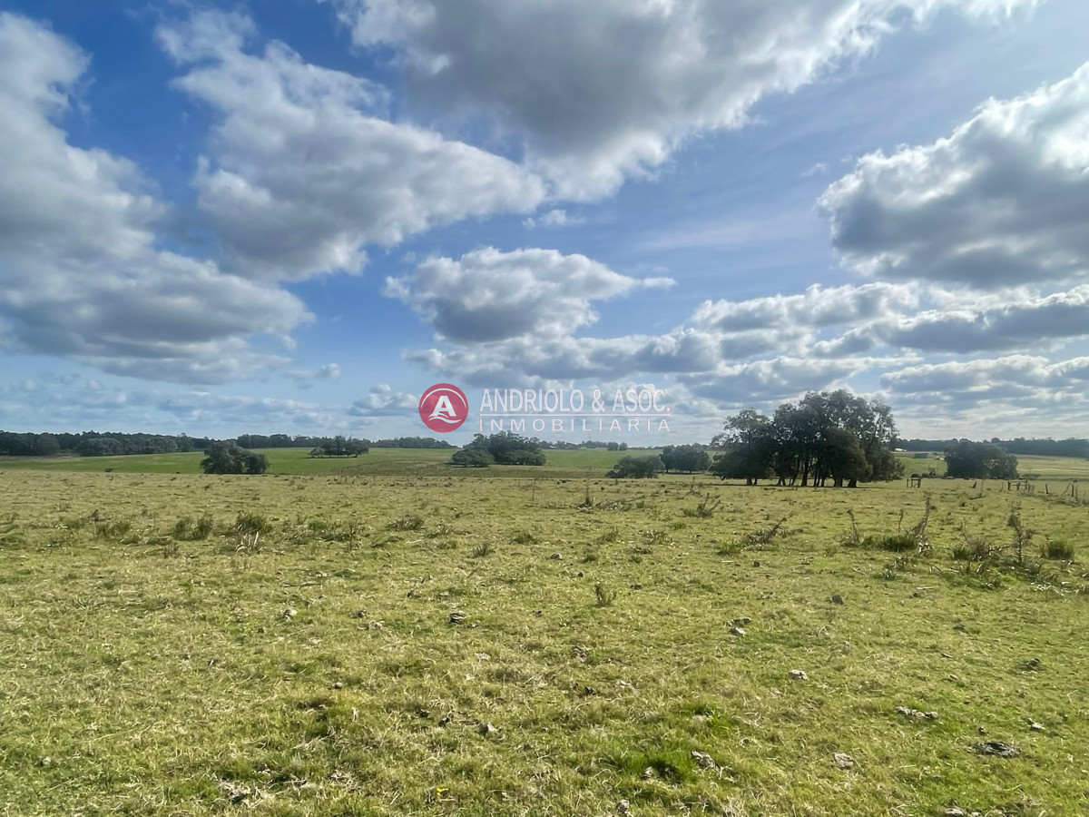 Chacra ID.8535 - 