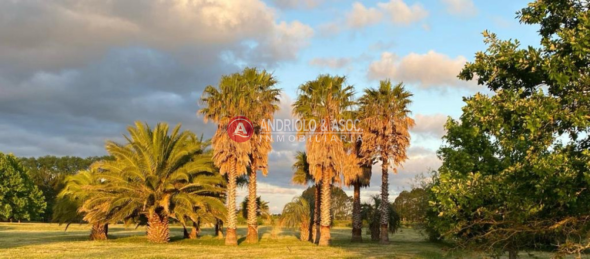 Chacra ID.8920 - Chacra en Maldonado 