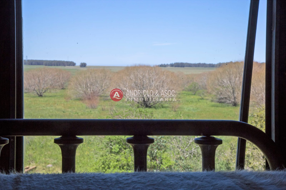 Chacra ID.9094 - Chacra en José Ignacio 