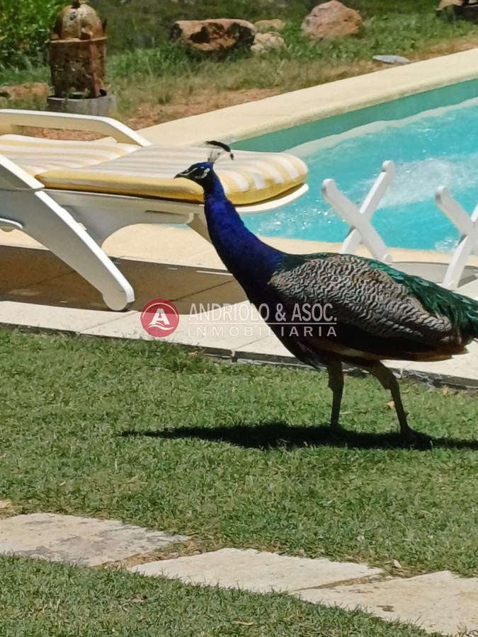 Chacra ID.9026 - Chacra en Las Cañas 