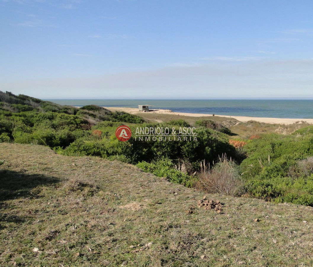 Chacra ID.6041 - 
