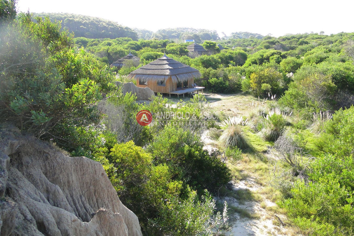 Chacra ID.6041 - 
