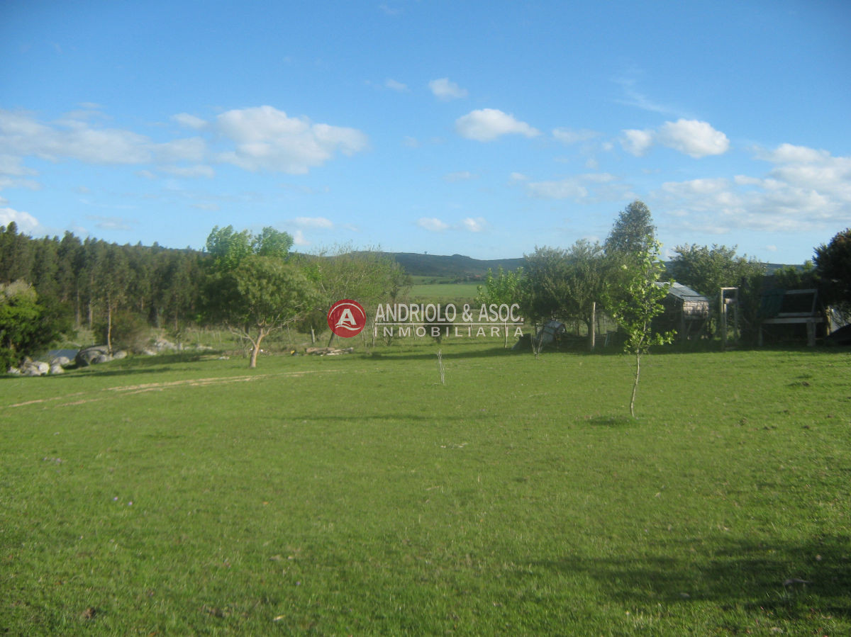 Chacra ID.6042 - 