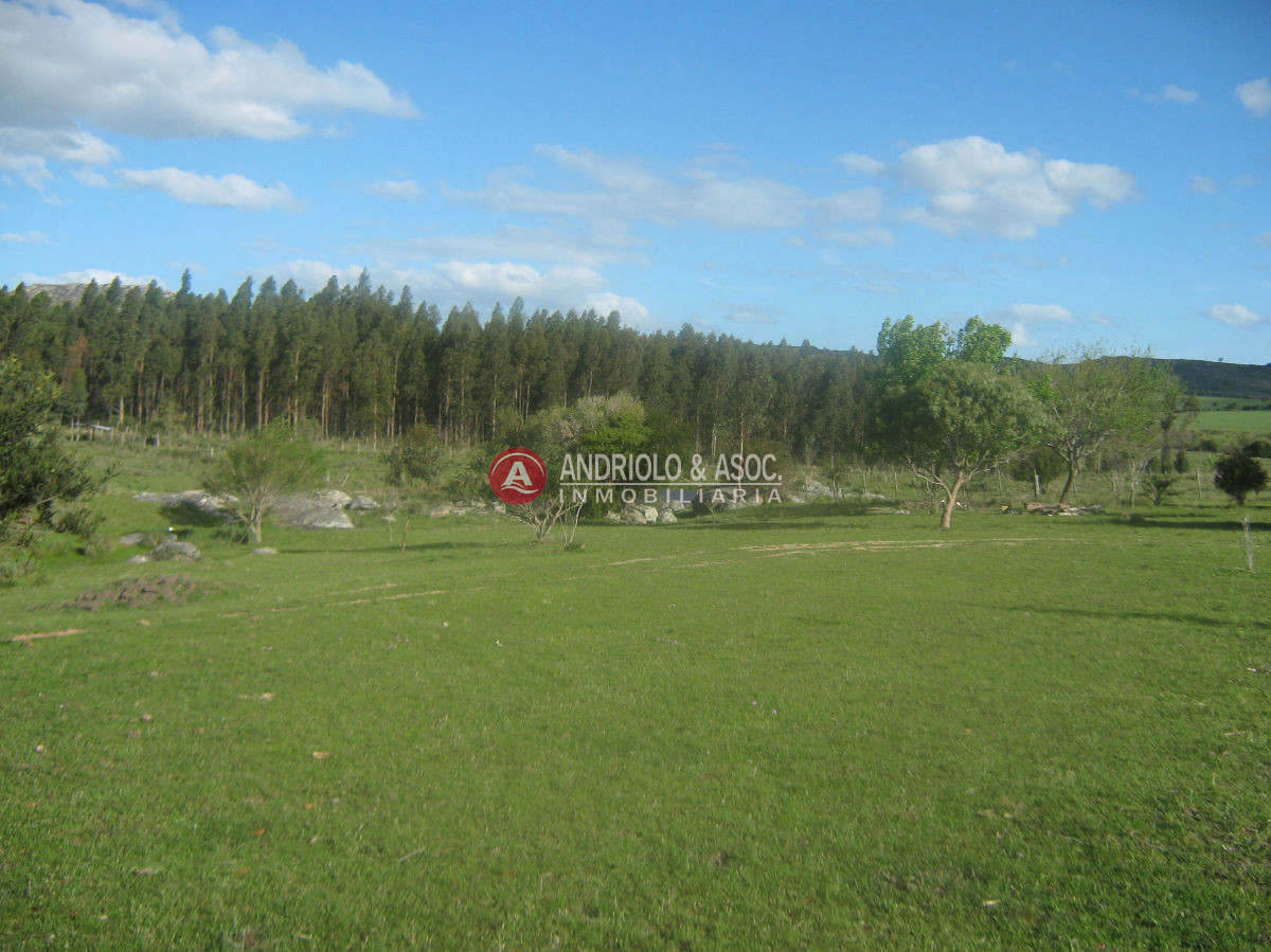 Chacra ID.6042 - 