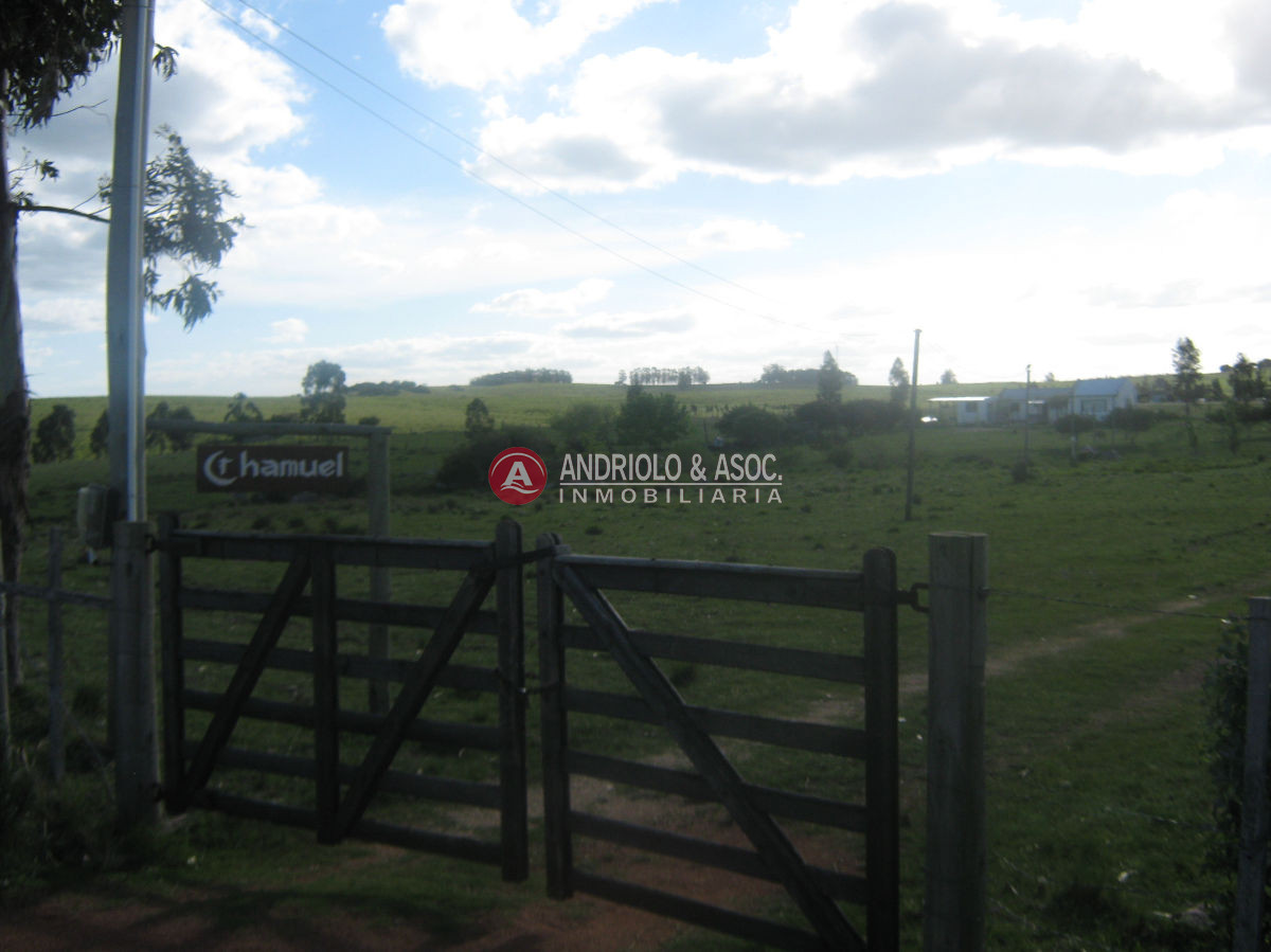 Chacra ID.6042 - 