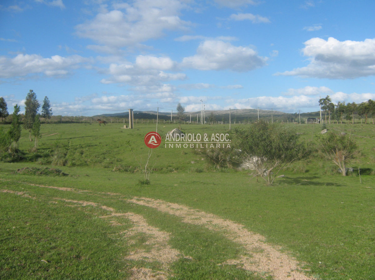 Chacra ID.6042 - 