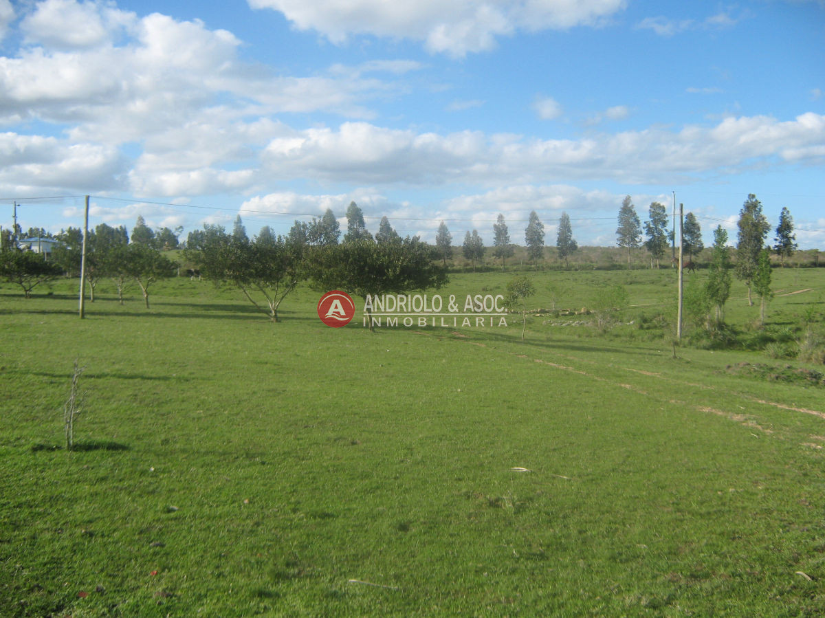 Chacra ID.6042 - 