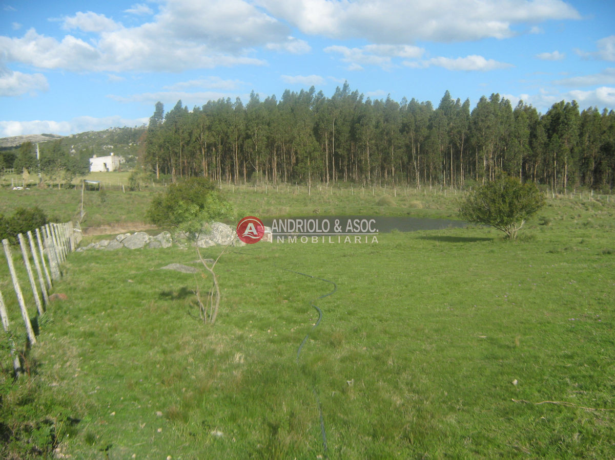Chacra ID.6042 - 